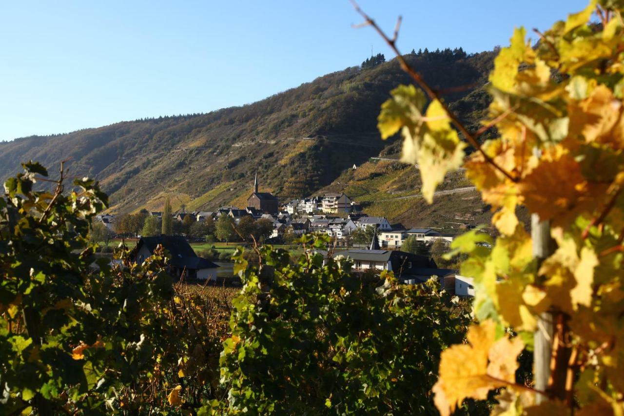 Ferienwohnung Moselblick-Stein ฟาลวิก ภายนอก รูปภาพ