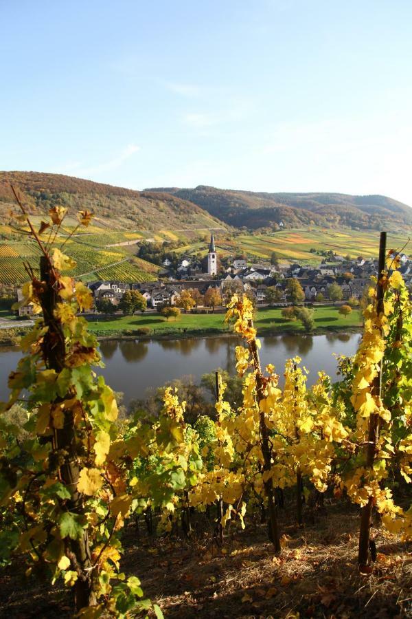 Ferienwohnung Moselblick-Stein ฟาลวิก ภายนอก รูปภาพ